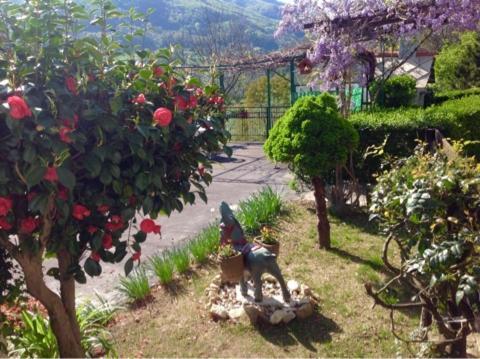 Peter Ranch 3 Lägenhet Vico Canavese Exteriör bild